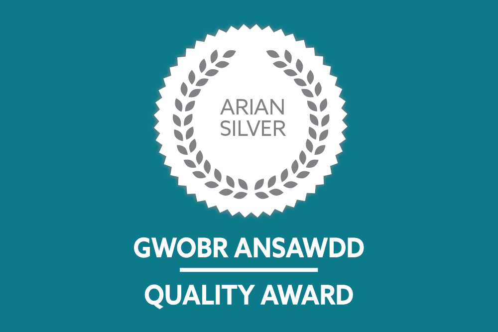 Eicon gwobr arian