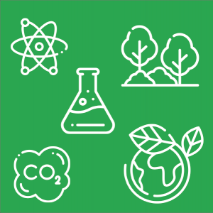 Coed, planed, tiwb prawf a graffeg CO2